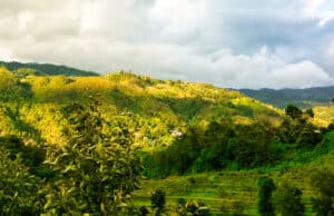 Shivapuri Nagarjun Nationalpark