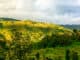 Shivapuri Nagarjun Nationalpark