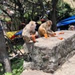 nepal fotos reiseberichte 20