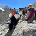 Der Weg zum EBC2