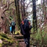 nepal wanderung 14