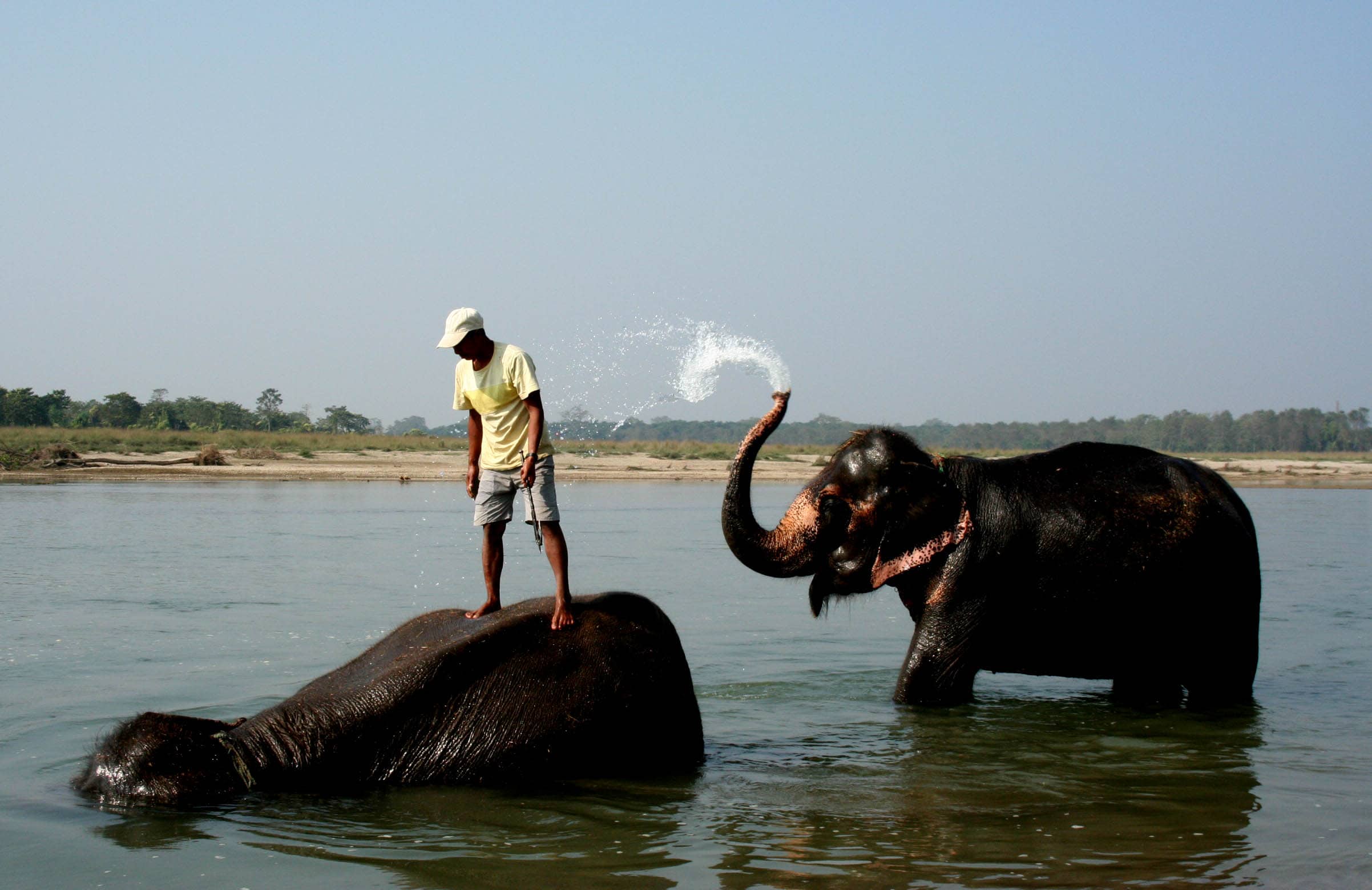 Chitwan Nationalpark